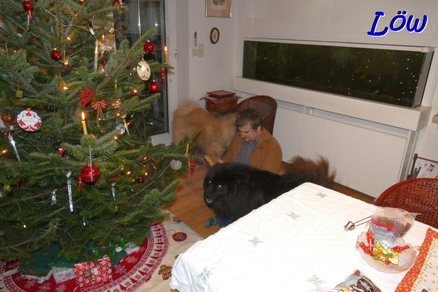 24.12.2024 - Dwix und Howard im Mittelpunkt